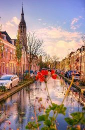 DELFT DELFT